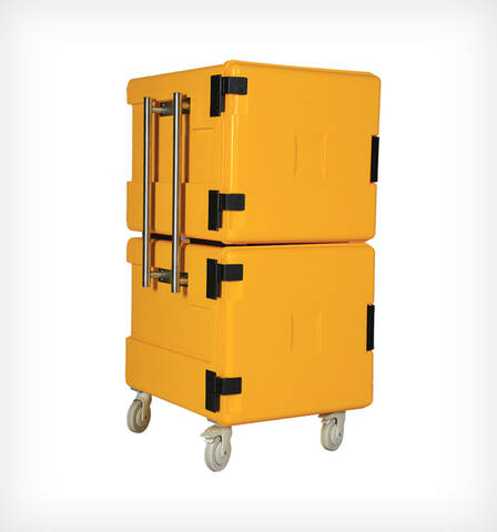 Avatherm Thermobox 600x2 Double Taşıma Kabı, Sarı