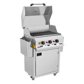 REMTA - Remta R134 Profesyonel Döküm Barbekü, LPG